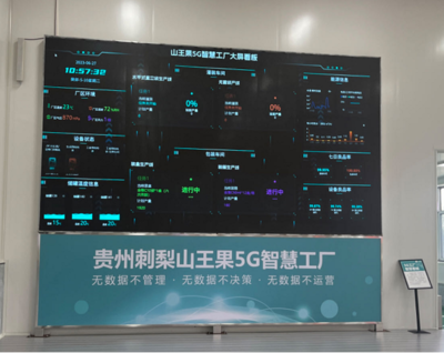 走進貴定山王果 開在大山里的數實融合之花