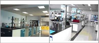 禽藥與獸藥新技術(shù)交流 以質(zhì)量為核心，共筑未來(lái)獸藥發(fā)展之路